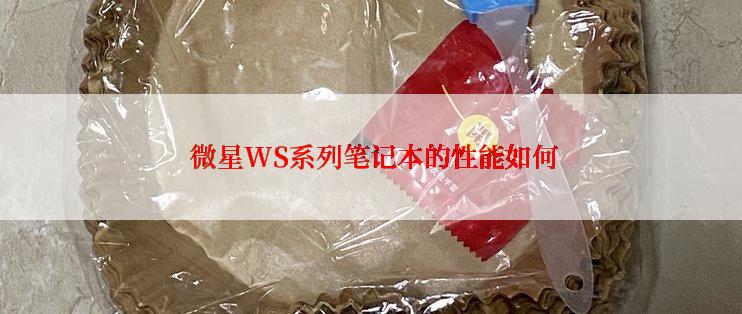  微星WS系列笔记本的性能如何