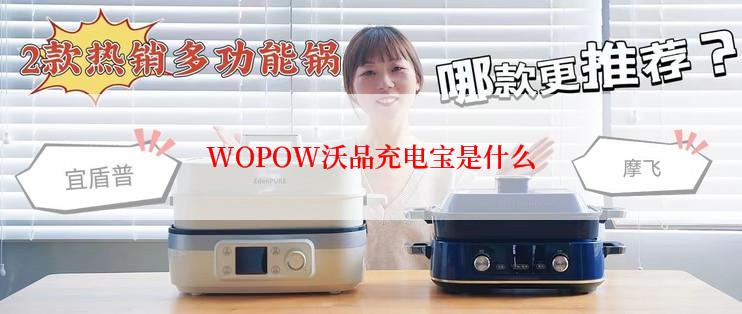 WOPOW沃品充电宝是什么