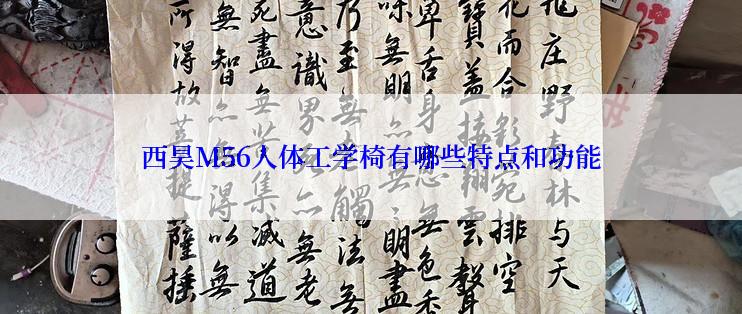 西昊M56人体工学椅有哪些特点和功能