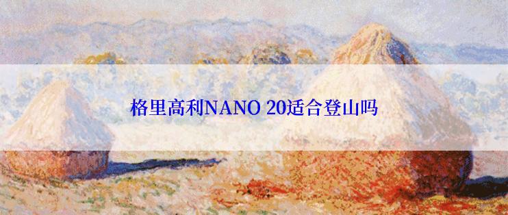 格里高利NANO 20适合登山吗