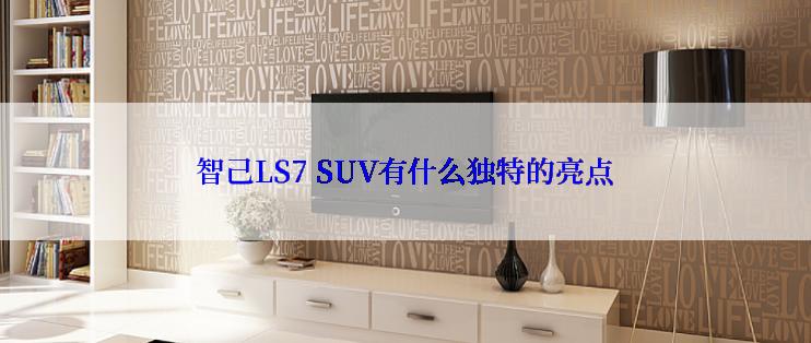 智己LS7 SUV有什么独特的亮点