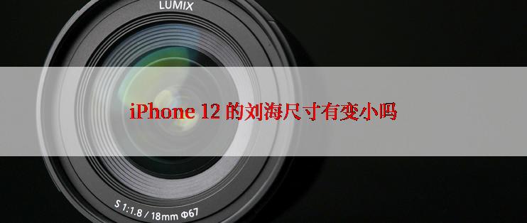 iPhone 12 的刘海尺寸有变小吗