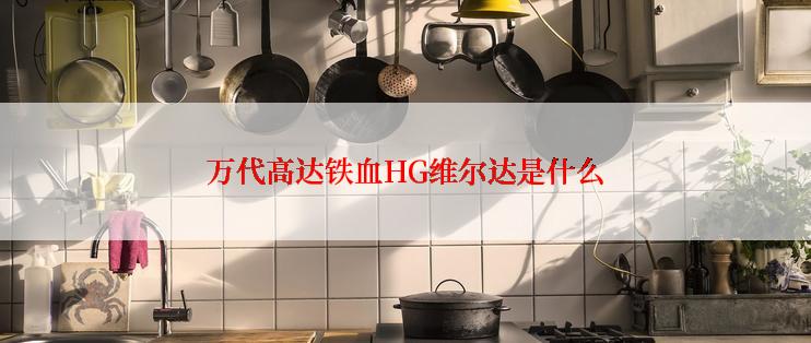 万代高达铁血HG维尔达是什么