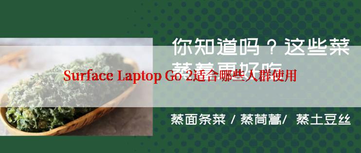 Surface Laptop Go 2适合哪些人群使用