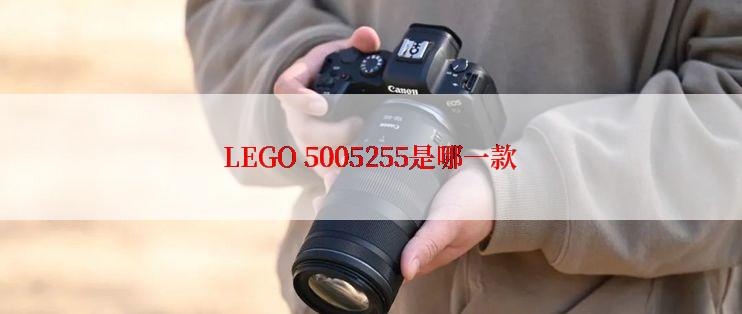 LEGO 5005255是哪一款