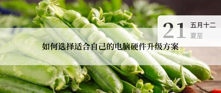 如何选择适合自己的电脑硬件升级方案