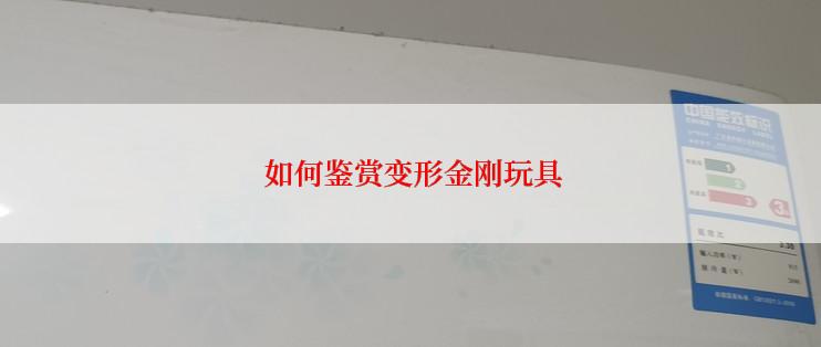  如何鉴赏变形金刚玩具