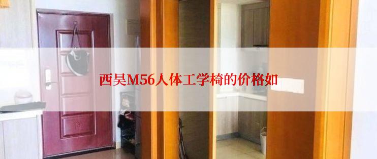 西昊M56人体工学椅的价格如