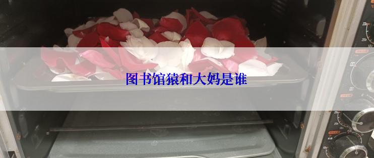 图书馆猿和大妈是谁