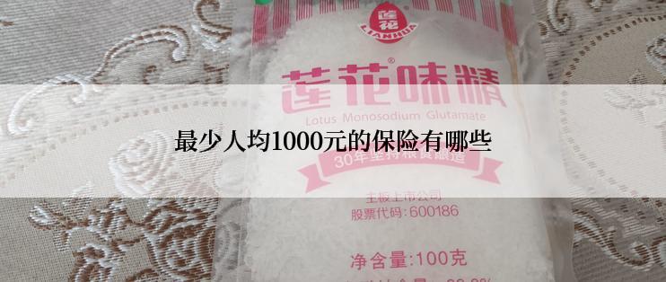 最少人均1000元的保险有哪些