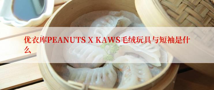 优衣库PEANUTS X KAWS毛绒玩具与短袖是什么