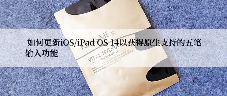  如何更新iOS/iPad OS 14以获得原生支持的五笔输入功能