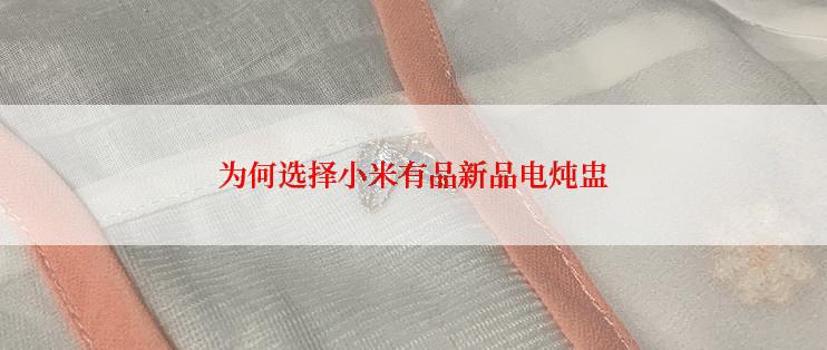 为何选择小米有品新品电炖盅