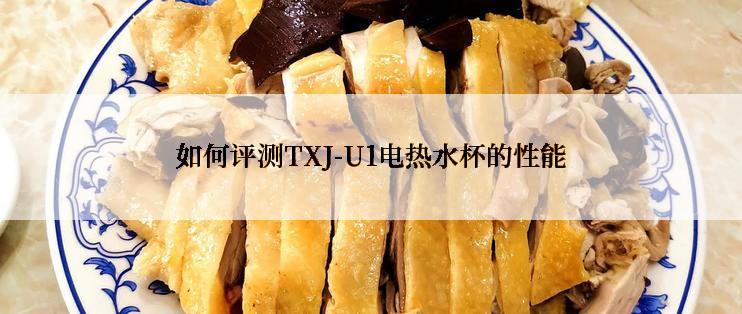 如何评测TXJ-U1电热水杯的性能