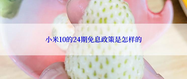 小米10的24期免息政策是怎样的