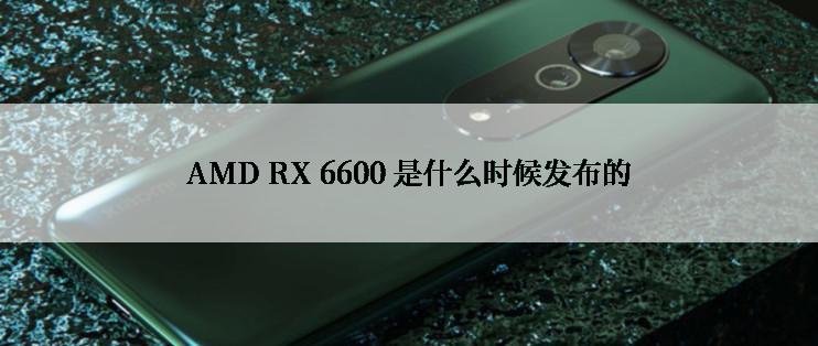 AMD RX 6600 是什么时候发布的