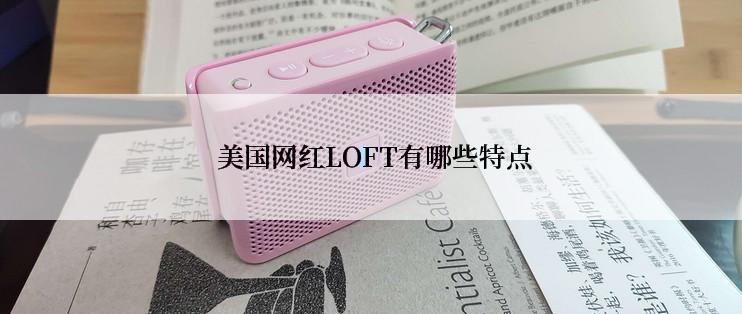  美国网红LOFT有哪些特点