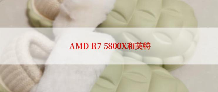  AMD R7 5800X和英特