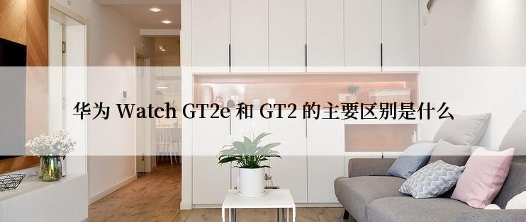 华为 Watch GT2e 和 GT2 的主要区别是什么