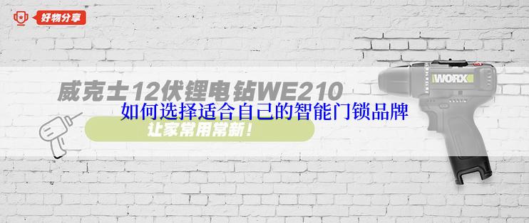 如何选择适合自己的智能门锁品牌