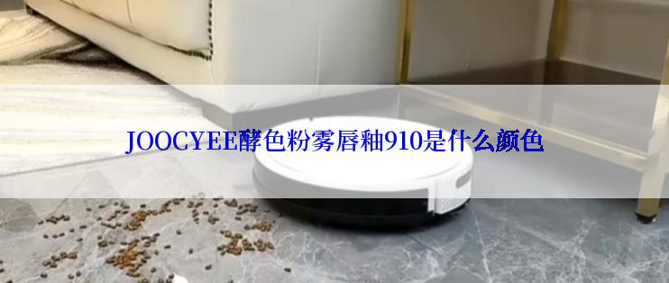 JOOCYEE酵色粉雾唇釉910是什么颜色