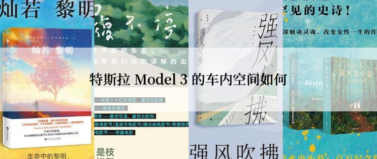 特斯拉 Model 3 的车内空间如何