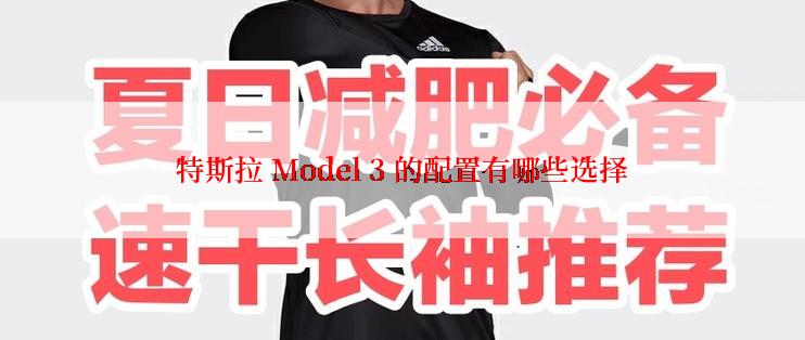 特斯拉 Model 3 的配置有哪些选择