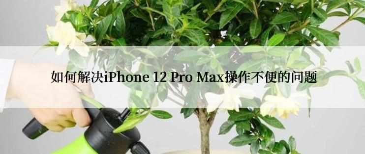  如何解决iPhone 12 Pro Max操作不便的问题