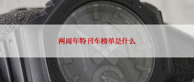 两周年特刊车榜单是什么