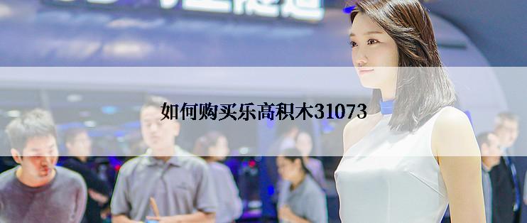 如何购买乐高积木31073