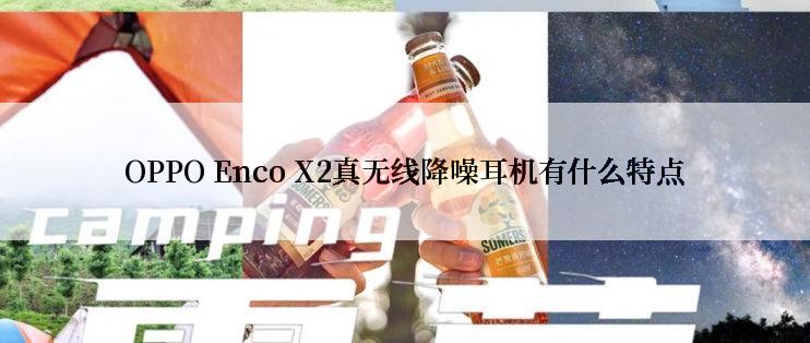 OPPO Enco X2真无线降噪耳机有什么特点