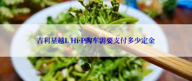 吉利星越L Hi·P购车需要支付多少定金