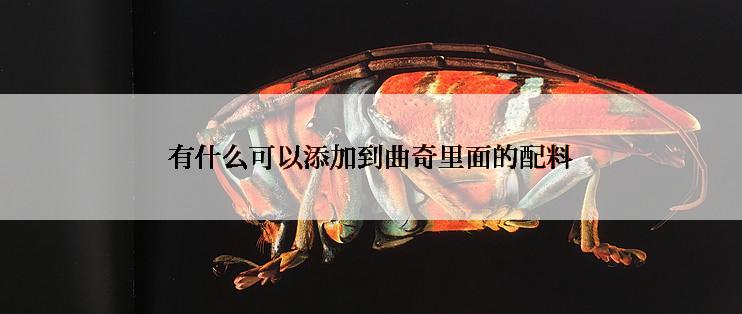 有什么可以添加到曲奇里面的配料