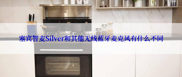 塞宾智麦Silver和其他无线蓝牙麦克风有什么不同