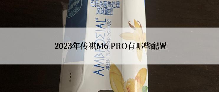  2023年传祺M6 PRO有哪些配置