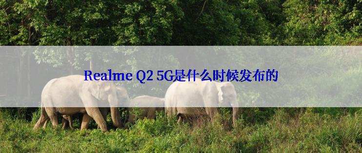 Realme Q2 5G是什么时候发布的