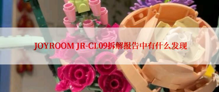  JOYROOM JR-CL09拆解报告中有什么发现