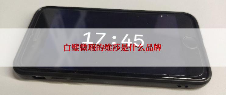 白璧微瑕的维莎是什么品牌