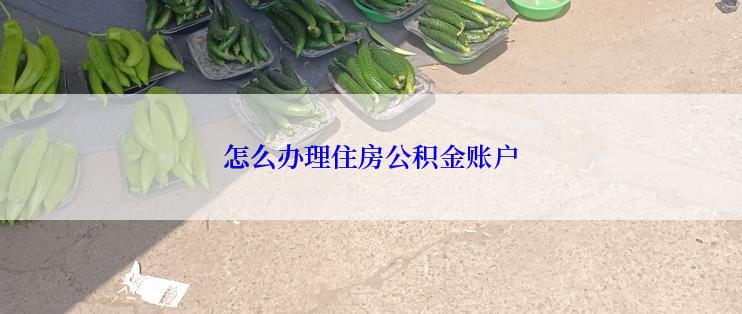 怎么办理住房公积金账户