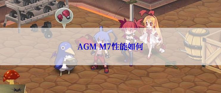 AGM M7性能如何