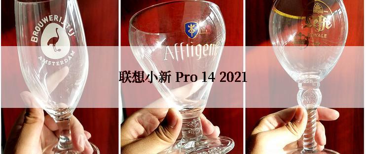 联想小新 Pro 14 2021