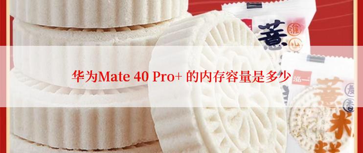 华为Mate 40 Pro+ 的内存容量是多少