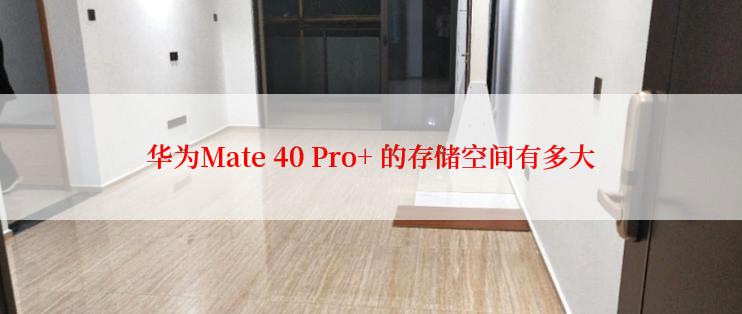 华为Mate 40 Pro+ 的存储空间有多大