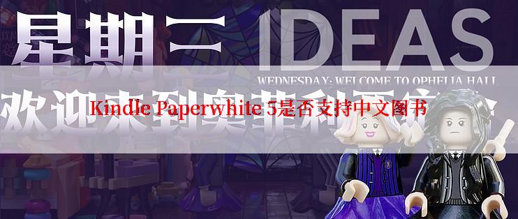 Kindle Paperwhite 5是否支持中文图书