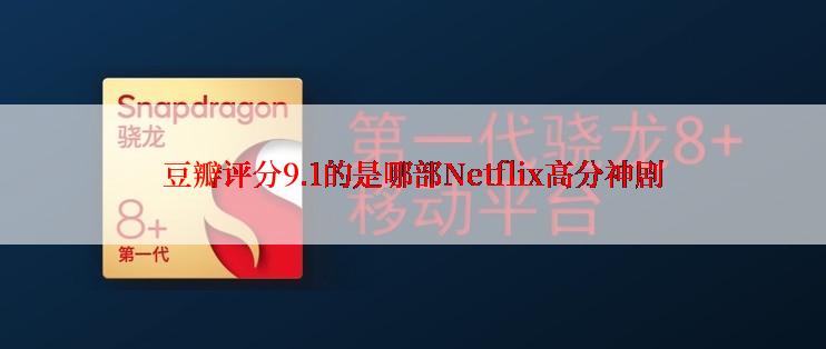 豆瓣评分9.1的是哪部Netflix高分神剧