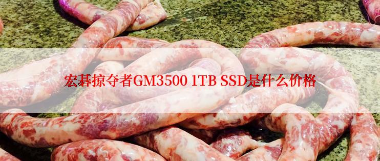 宏碁掠夺者GM3500 1TB SSD是什么价格