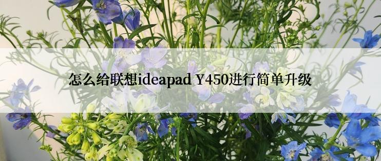 怎么给联想ideapad Y450进行简单升级