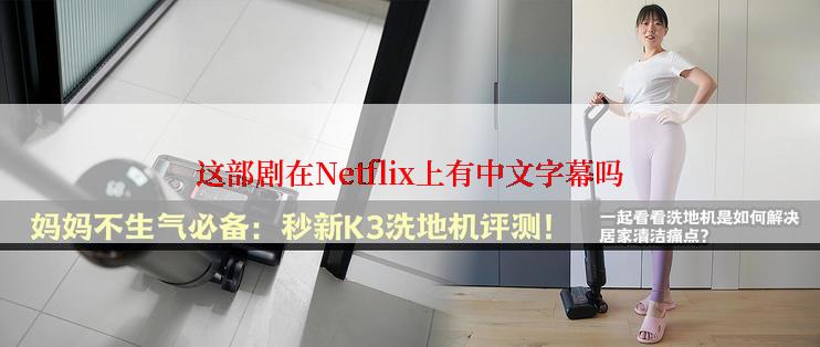 这部剧在Netflix上有中文字幕吗