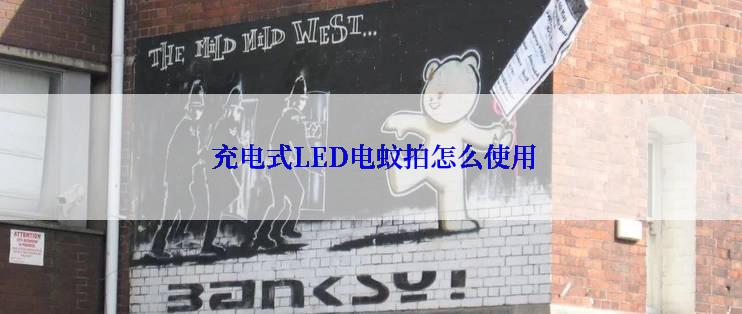  充电式LED电蚊拍怎么使用