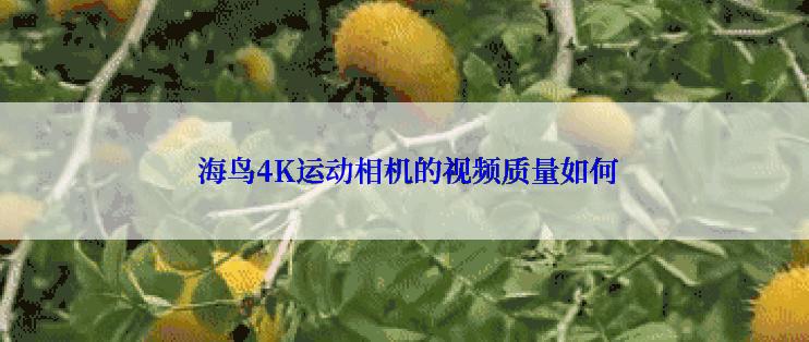  海鸟4K运动相机的视频质量如何